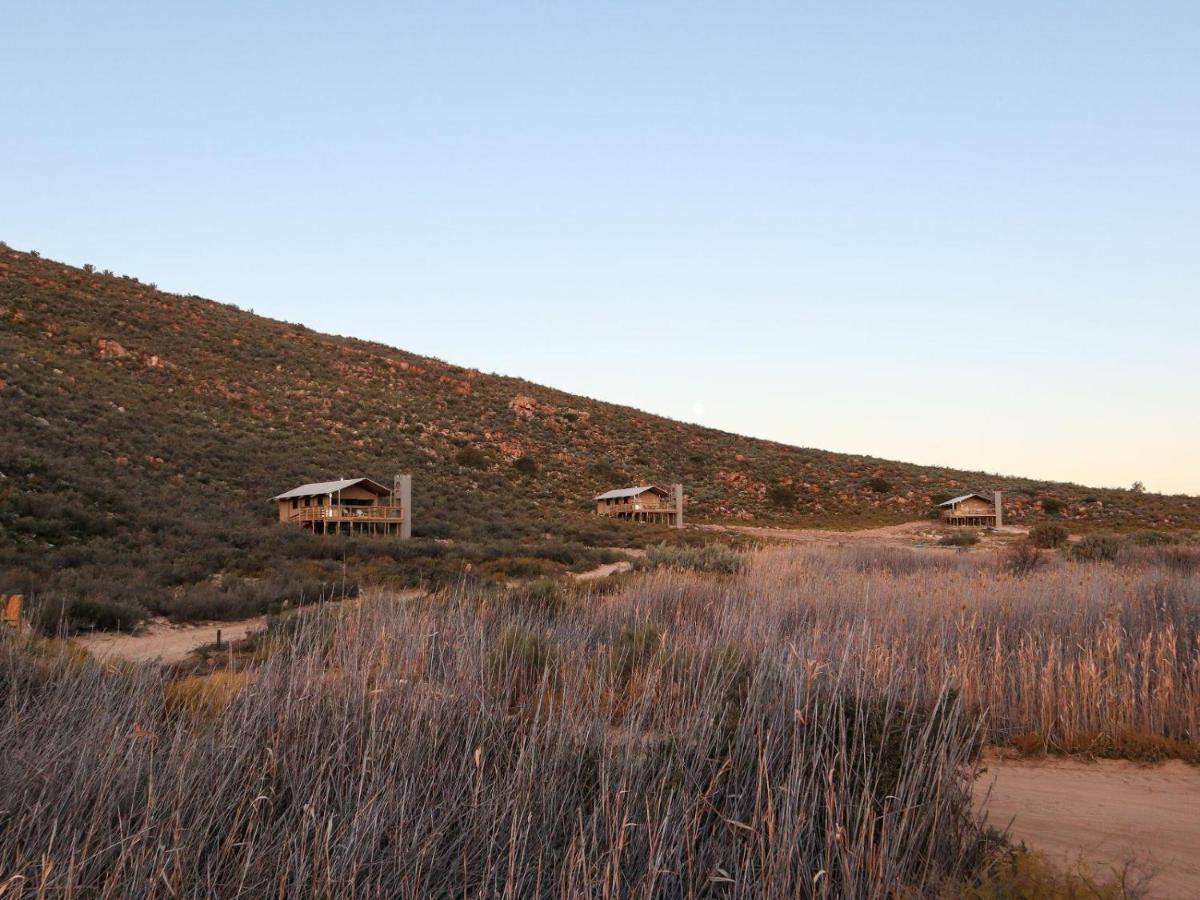 Africamps At Karoo 1 Villa De Doorns Eksteriør billede
