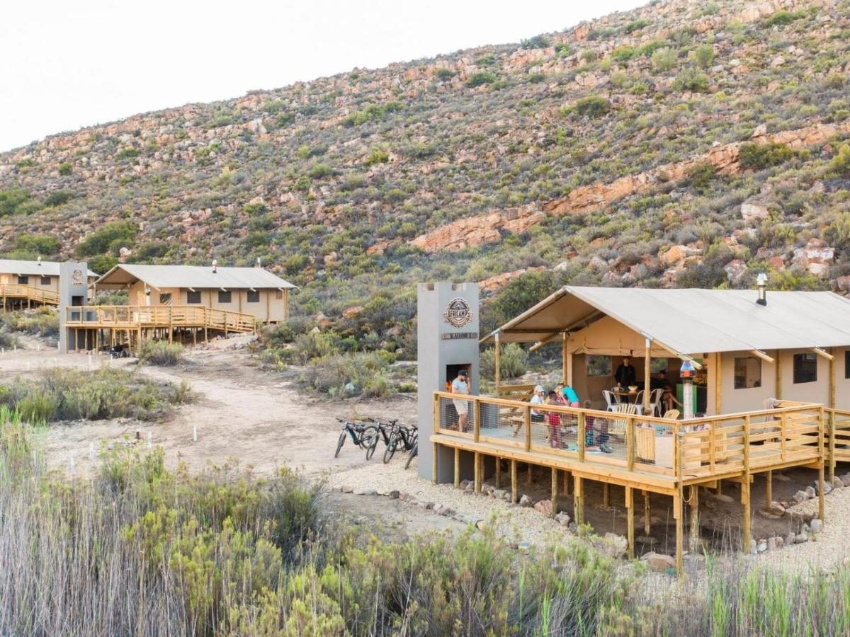 Africamps At Karoo 1 Villa De Doorns Eksteriør billede